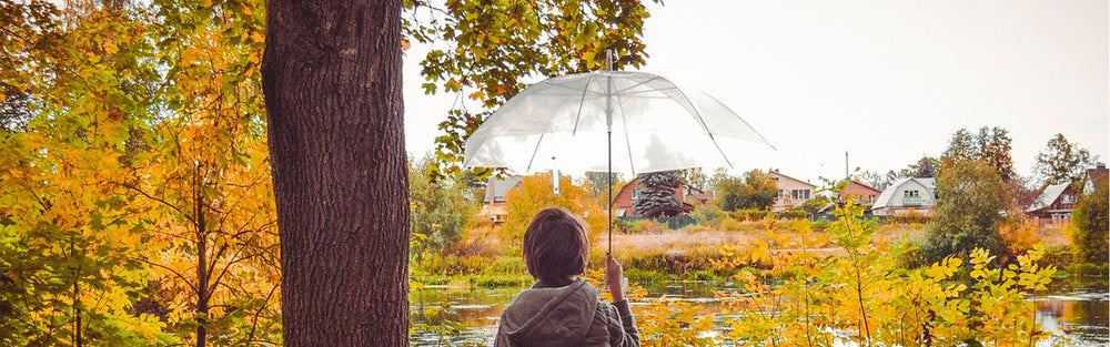 Paraplyer - Vierbørn.dk