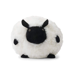 WARM & COMFY Cute Sheep | Korthåret | New Zealand