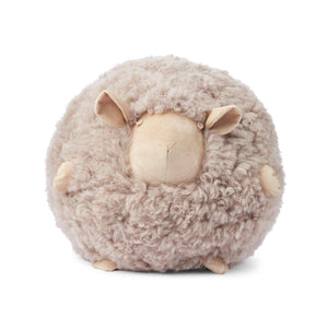 WARM & COMFY Cute Sheep | Korthåret | New Zealand