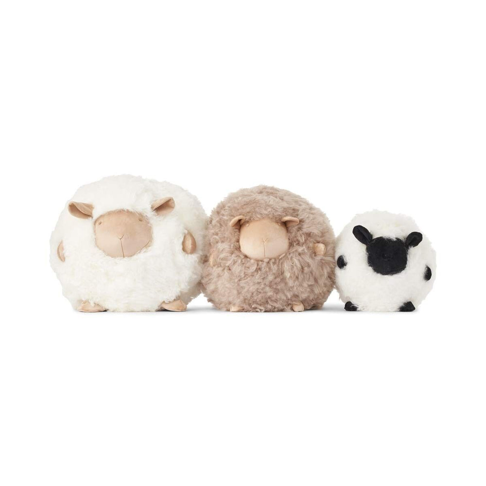 WARM & COMFY Cute Sheep | Korthåret | New Zealand