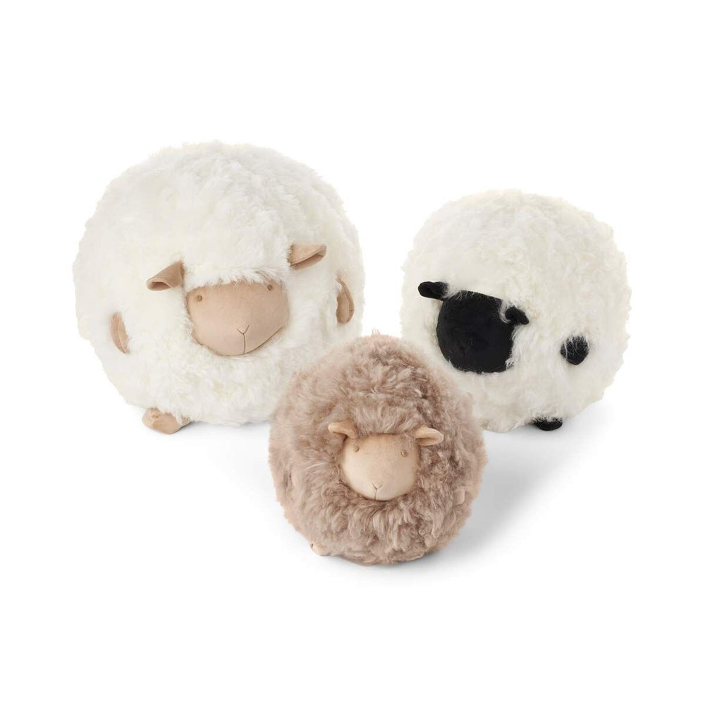 WARM & COMFY Cute Sheep | Korthåret | New Zealand