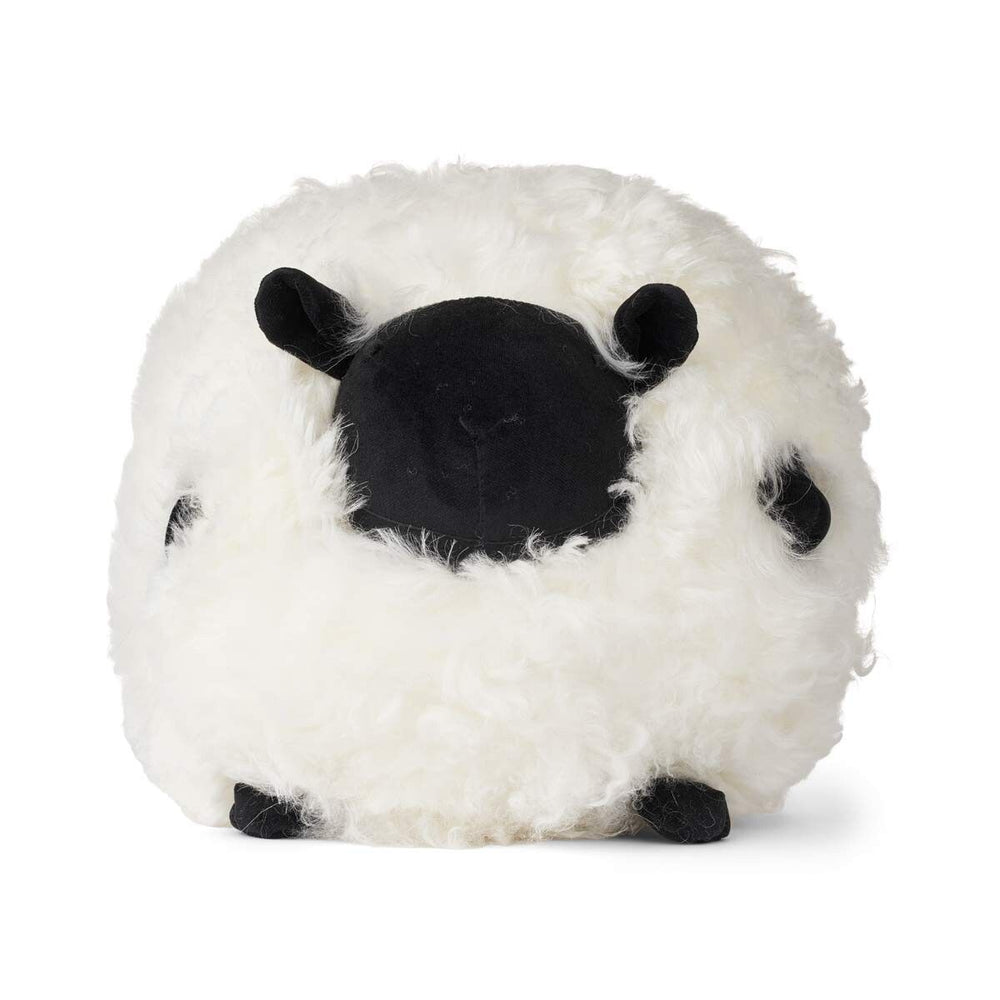 WARM & COMFY Cute Sheep | Korthåret | New Zealand