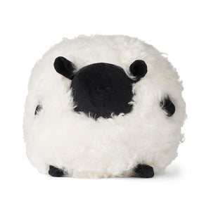 WARM & COMFY Cute Sheep | Korthåret | New Zealand