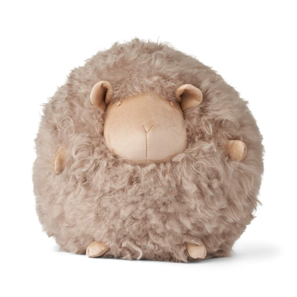 WARM & COMFY Cute Sheep | Korthåret | New Zealand