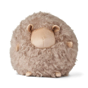 WARM & COMFY Cute Sheep | Korthåret | New Zealand