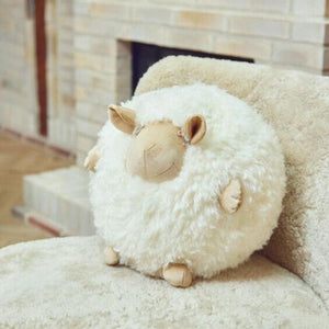 WARM & COMFY Cute Sheep | Korthåret | New Zealand