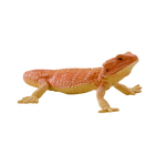 Mojo Skægagame