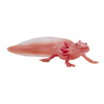 Mojo Axolotl halepadde