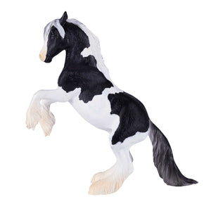 Mojo Gypsy Vanner hingst