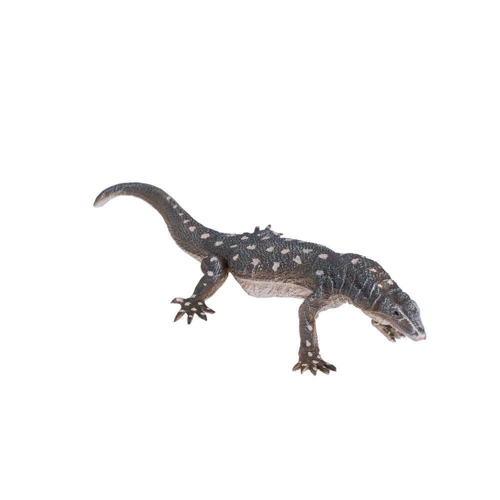 Mojo Perentie firben