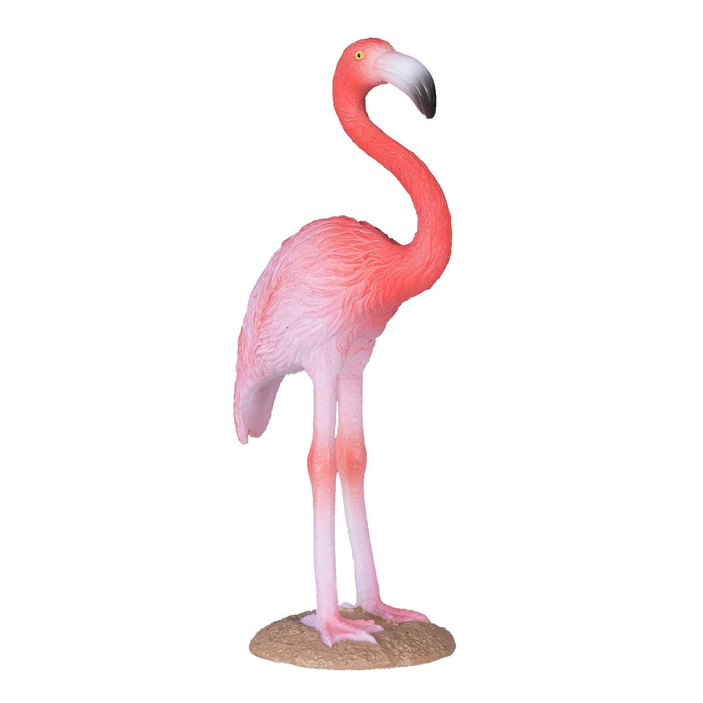 Mojo Amerikansk Flamingo