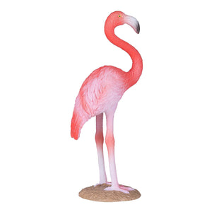 Mojo Amerikansk Flamingo