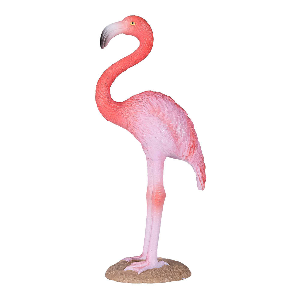 Mojo Amerikansk Flamingo