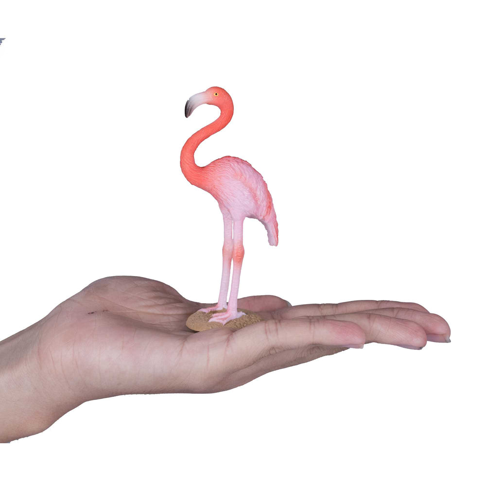 Mojo Amerikansk Flamingo