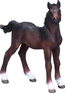 You added <b><u>Mojo hanoverian Føl, Brun</u></b> to your cart.