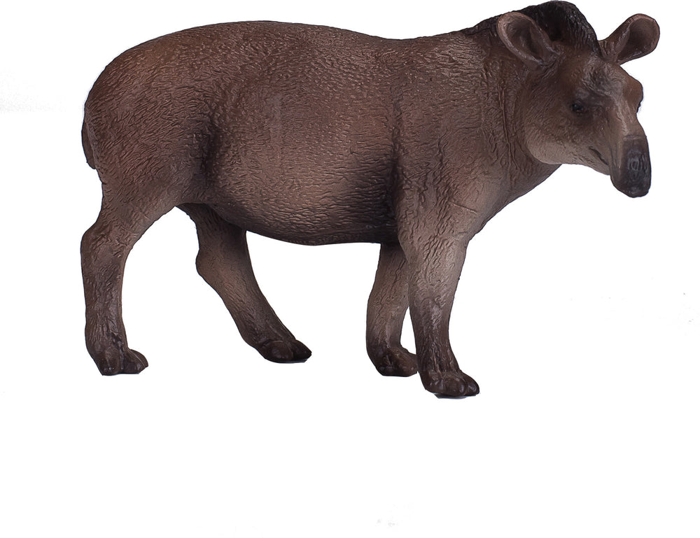 Mojo Brasiliansk Tapir