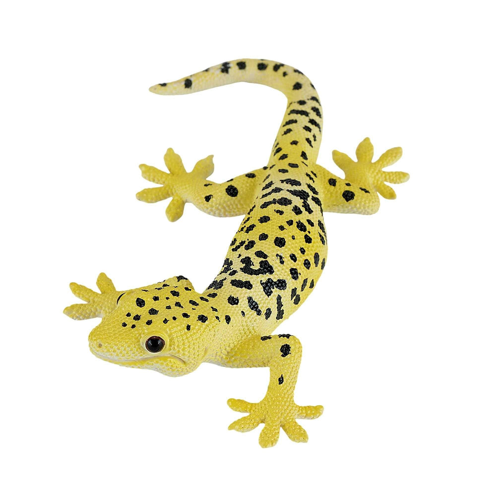 Mojo Leopard gekko