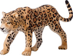 Mojo Leopard