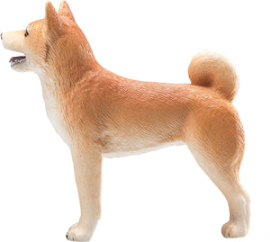 Mojo Shiba hund