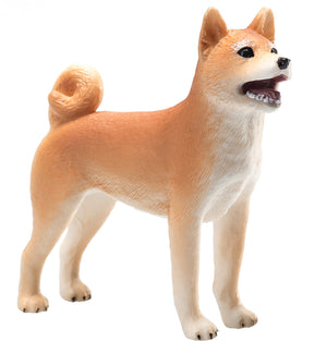 Mojo Shiba hund