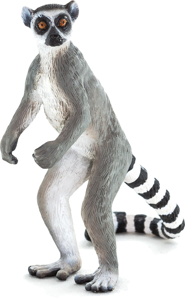 Mojo Ringtail Lemur