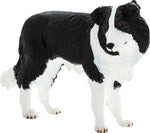 Mojo Border Collie hund