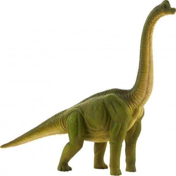 Animal Planet Brachiosaurus