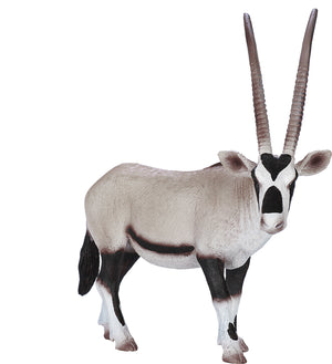 Mojo Oryx Antilope