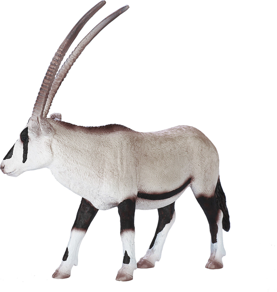 Mojo Oryx Antilope