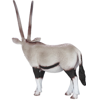 Mojo Oryx Antilope