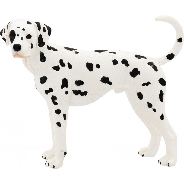 Animal Planet Dalmatiner Hund