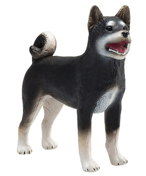 Mojo Shiba Inu hund, sort