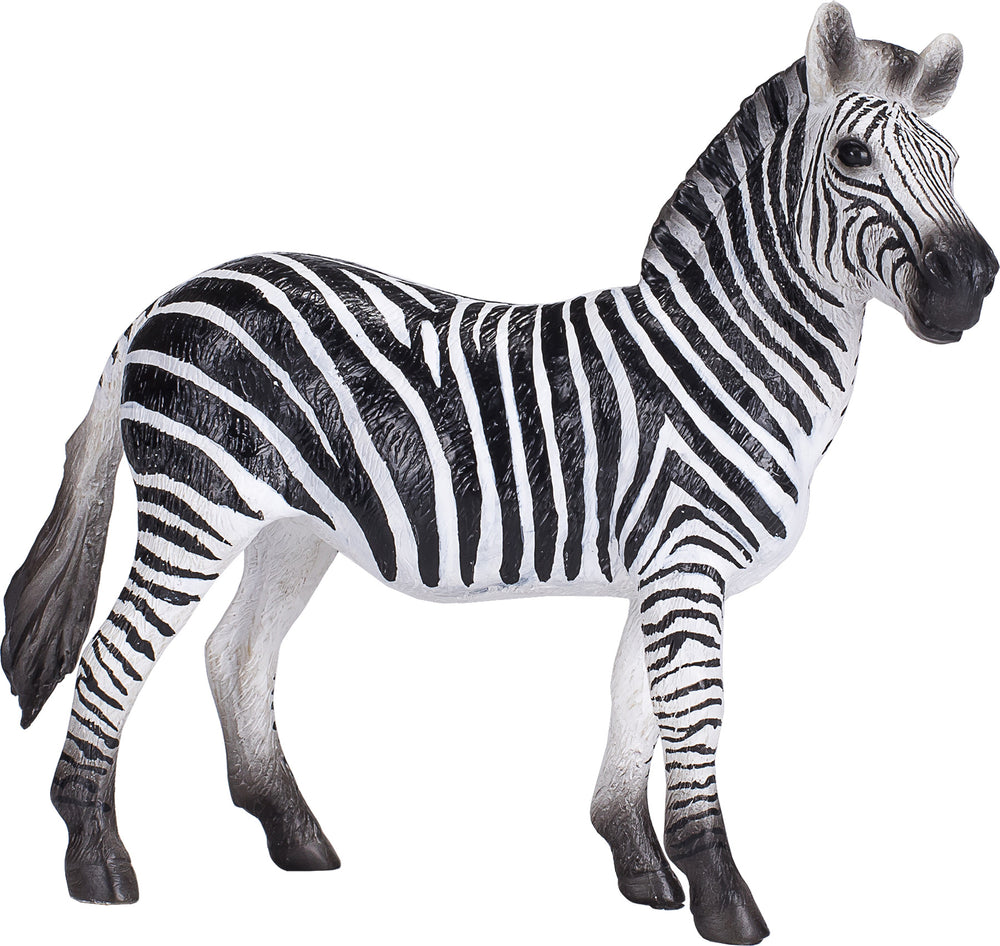 Mojo Zebra Mare